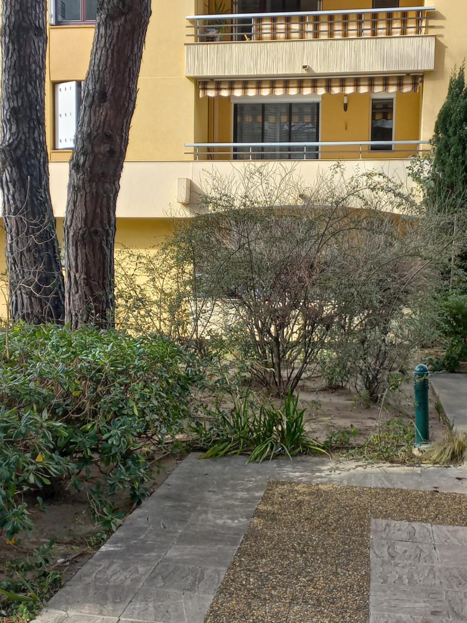 Frejus Plage, Appartement entier , piscine,parking,plage à 200m Exterior foto